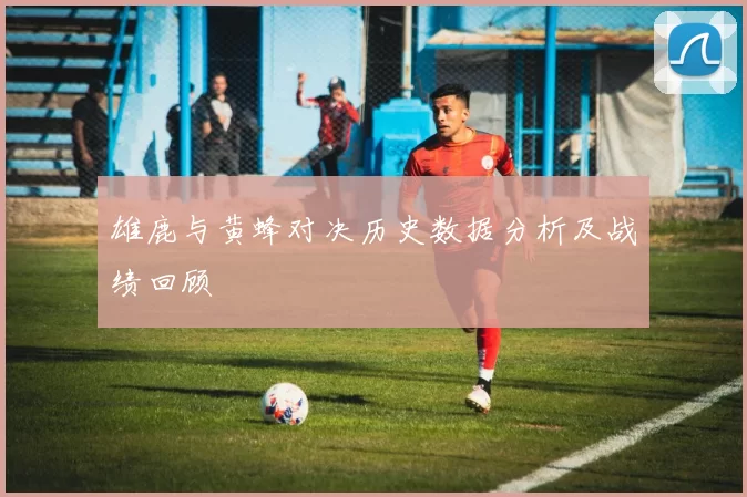 雄鹿与黄蜂对决历史数据分析及战绩回顾