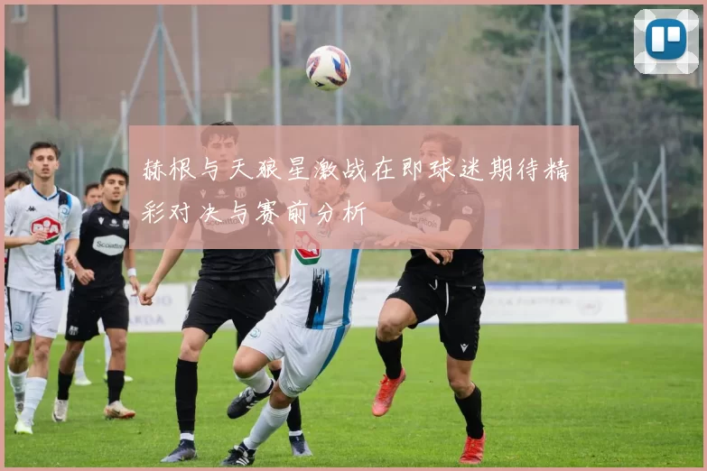 赫根与天狼星激战在即球迷期待精彩对决与赛前分析